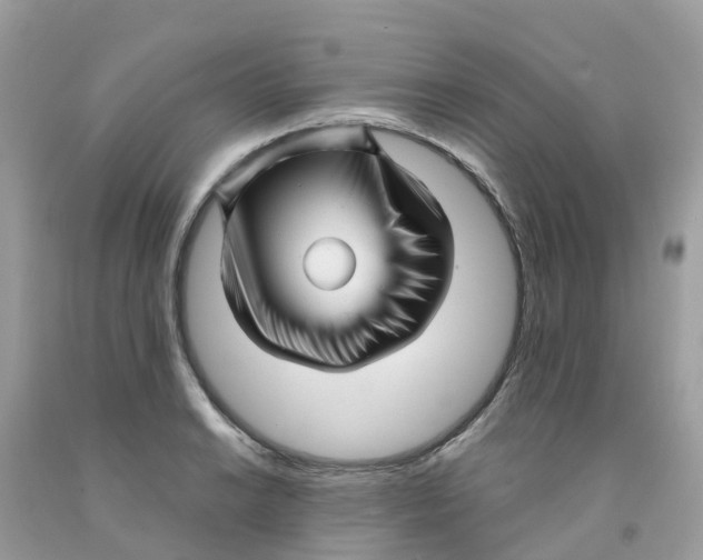 X0000091091038200709041258