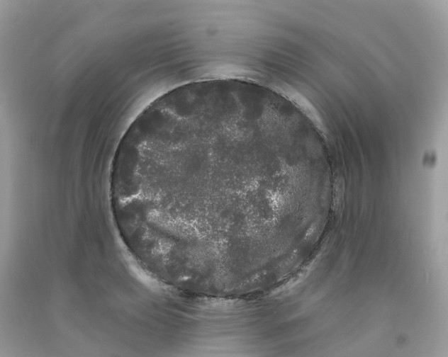 X0000091091039200709041258