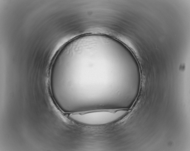 X0000091091040200709041258