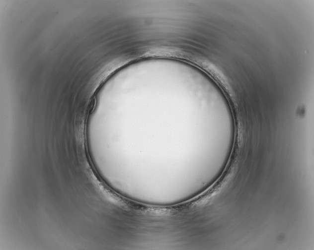 X0000091091041200709041258