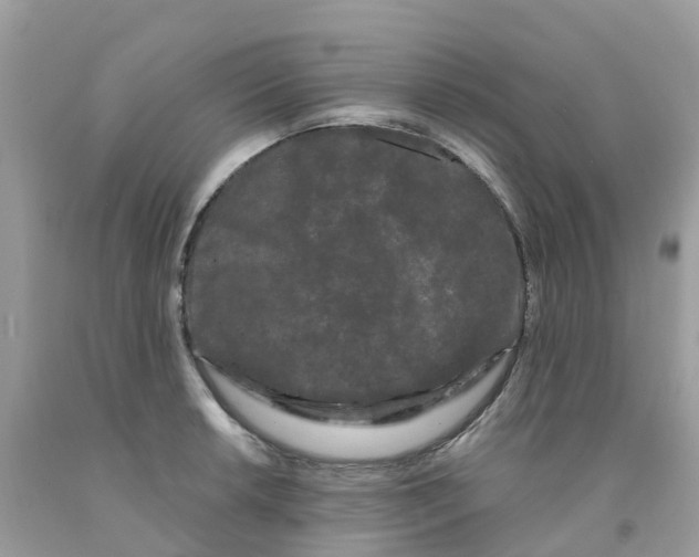 X0000091091042200709041258