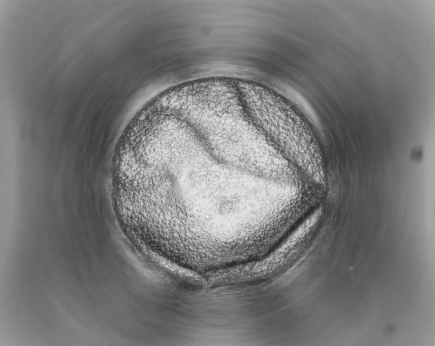 X0000091091043200709041258