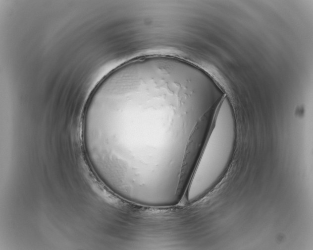 X0000091091044200709041258