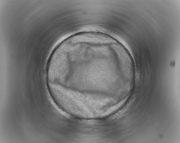 X0000091091045200709041258
