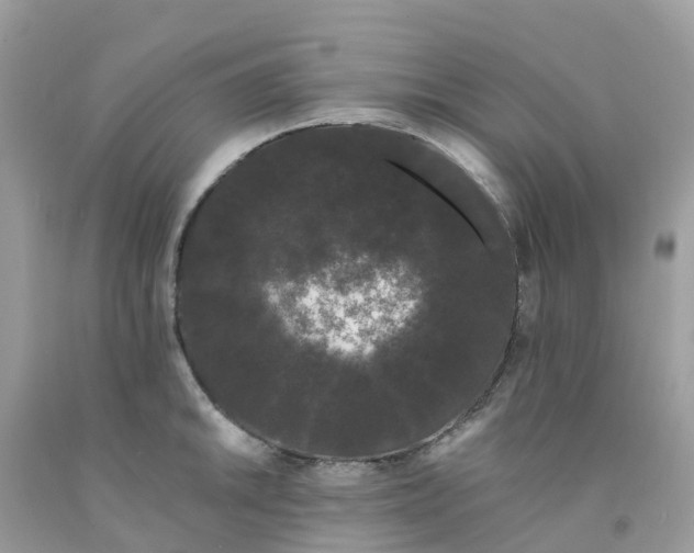 X0000091091046200709041258