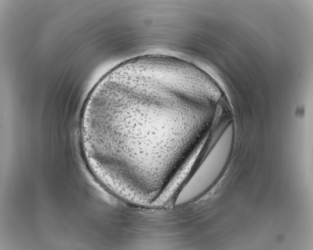 X0000091091048200709041258