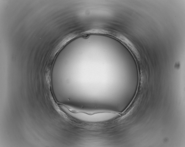 X0000091091049200709041258