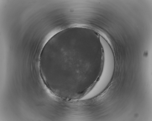 X0000091091050200709041258
