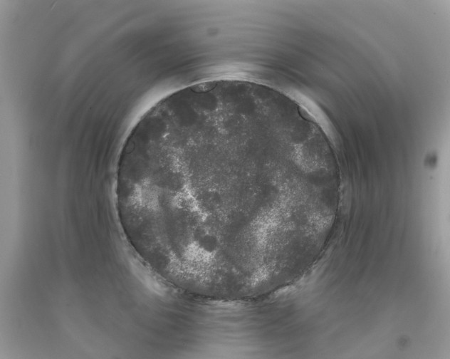 X0000091091051200709041258