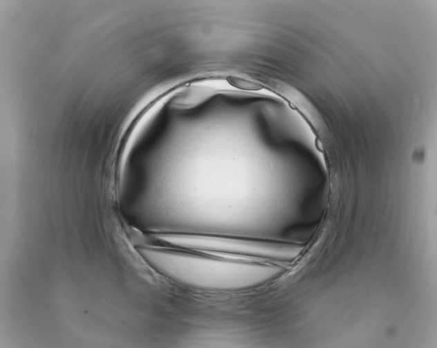 X0000091091052200709041258