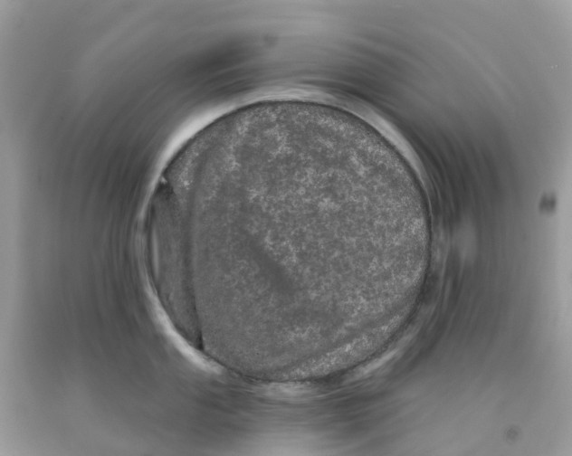 X0000091091053200709041258