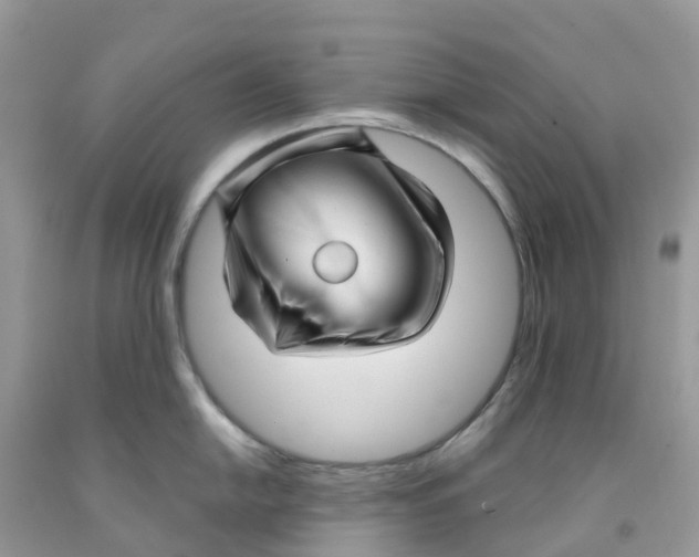 X0000091091054200709041258