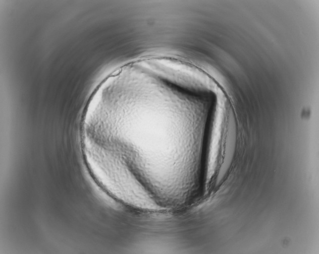 X0000091091055200709041258