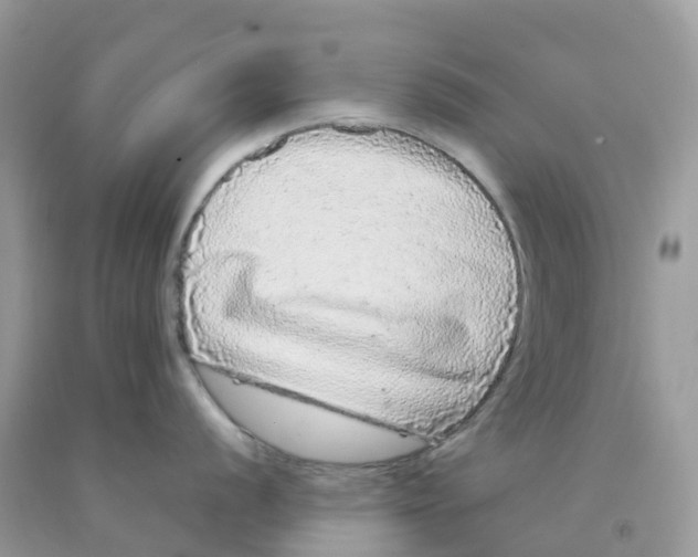 X0000091091056200709041258