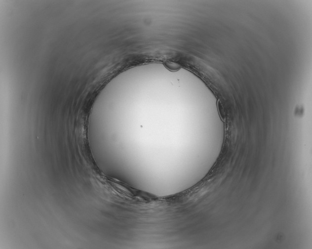 X0000091091058200709041258
