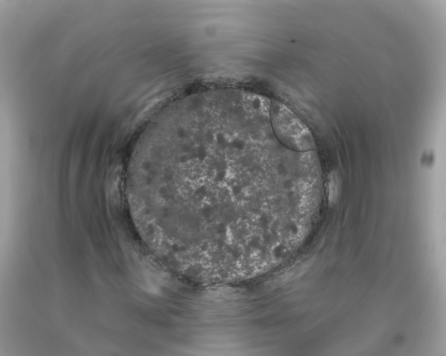 X0000091091059200709041258