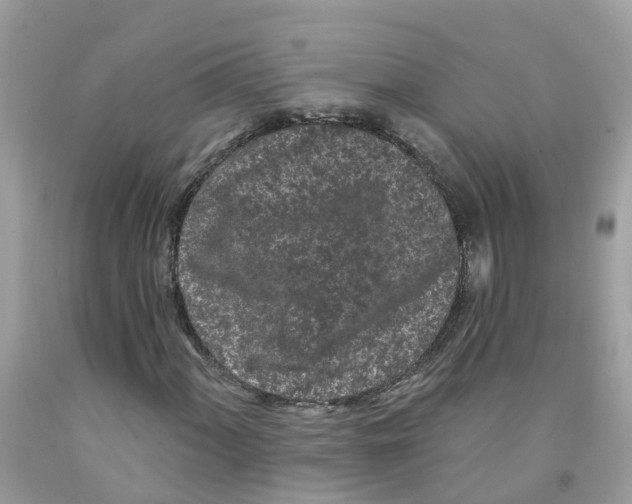 X0000091091060200709041258