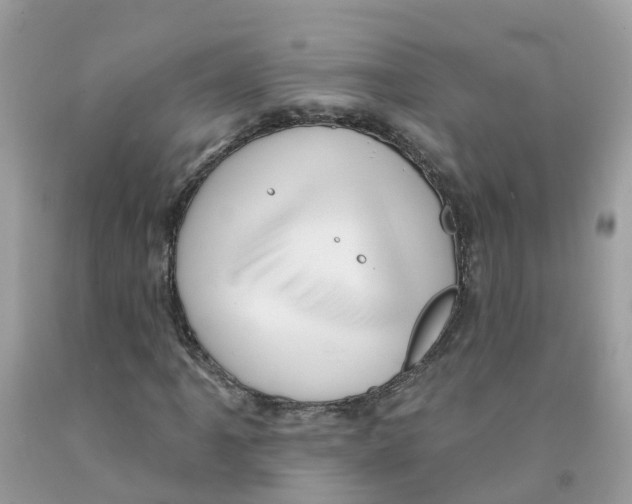 X0000091091061200709041257