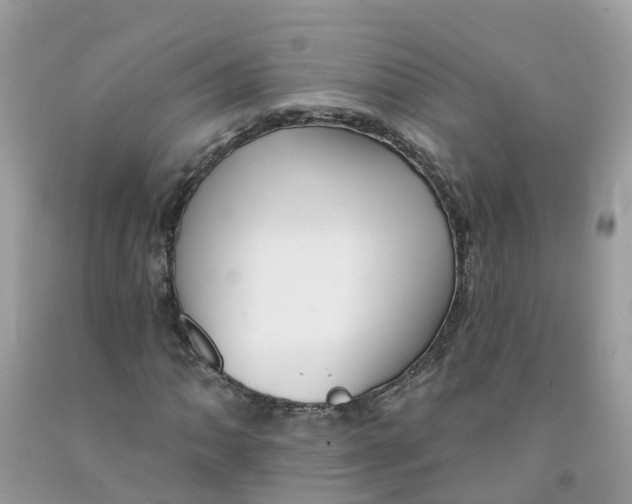 X0000091091062200709041257
