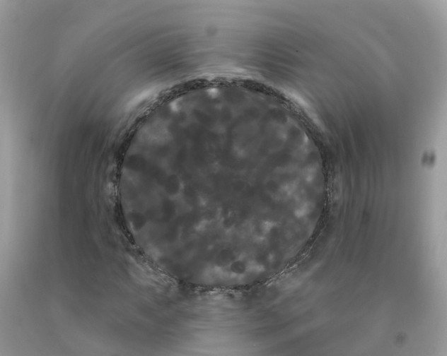 X0000091091063200709041257