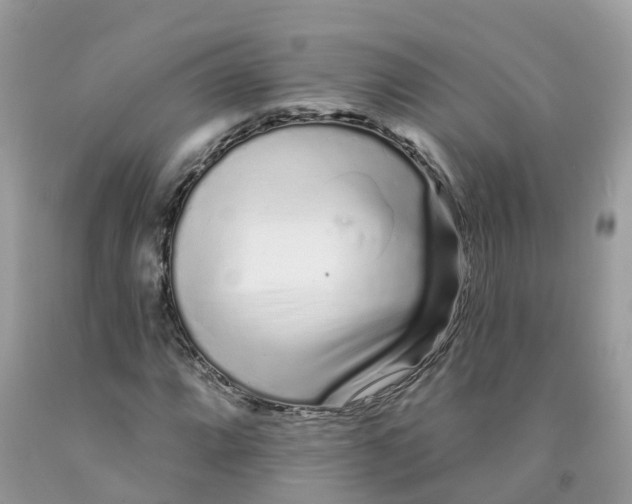 X0000091091064200709041257