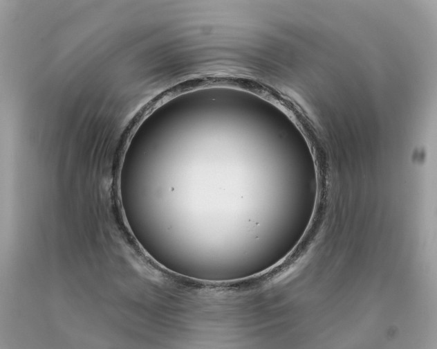 X0000091091065200709041257