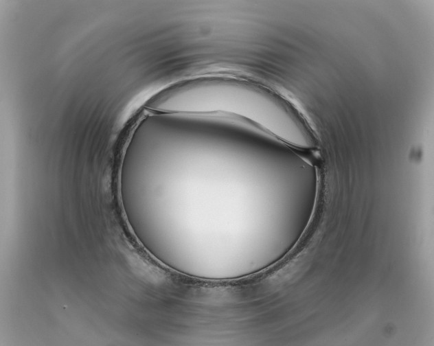 X0000091091066200709041257