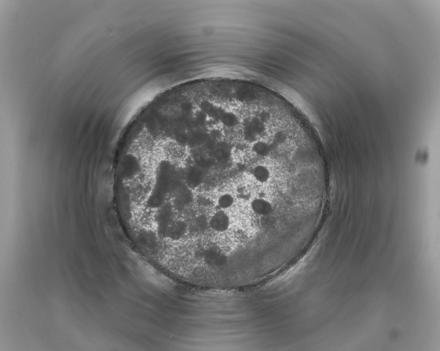 X0000091091067200709041257