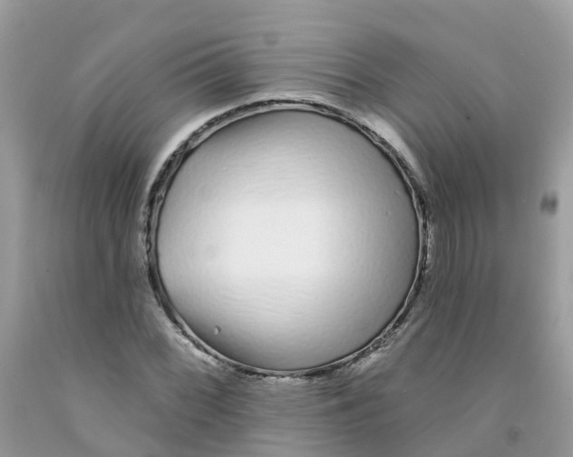 X0000091091068200709041257