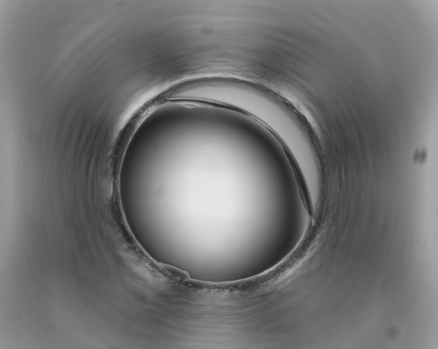 X0000091091069200709041257
