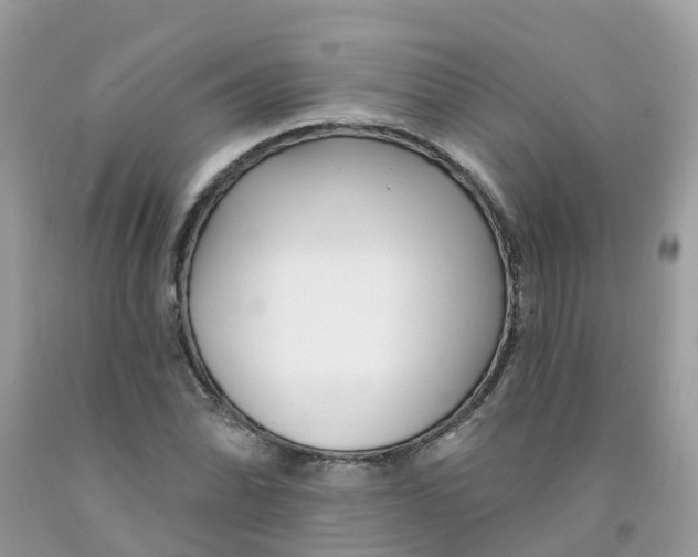 X0000091091070200709041257