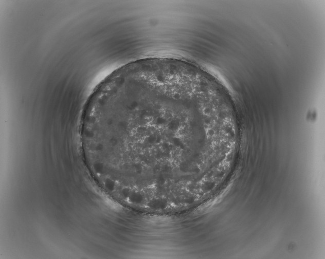 X0000091091071200709041257