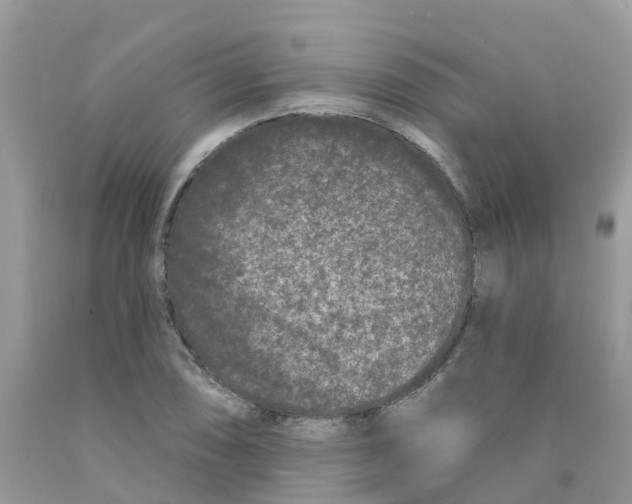 X0000091091074200709041257