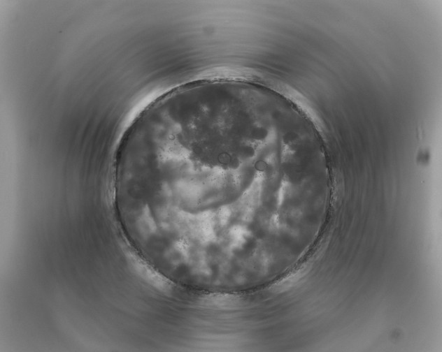 X0000091091075200709041257