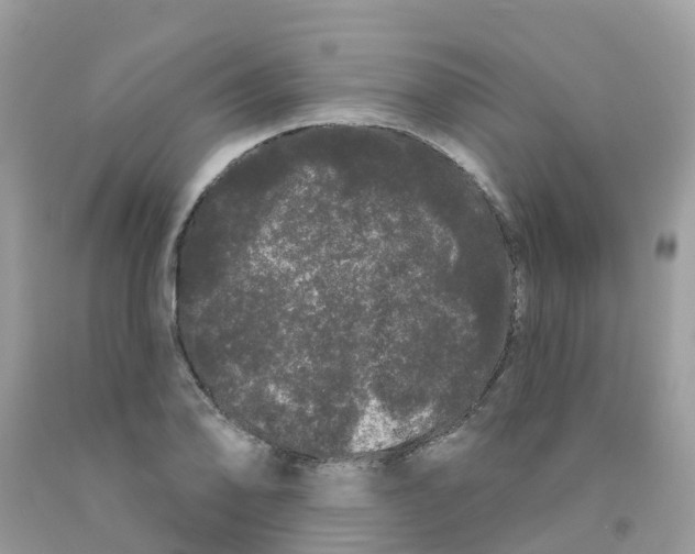 X0000091091078200709041257