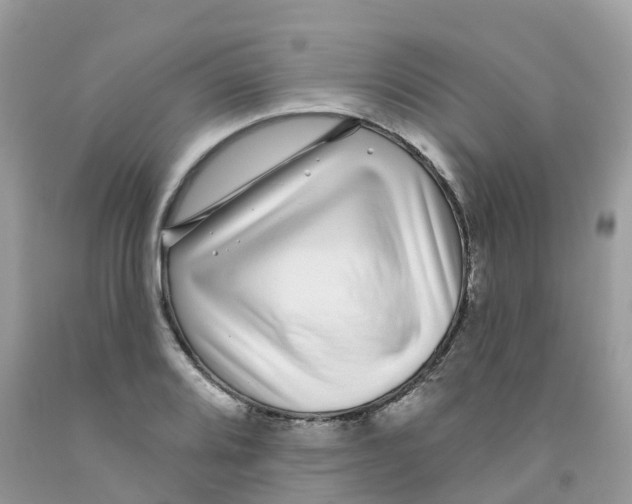 X0000091091080200709041257