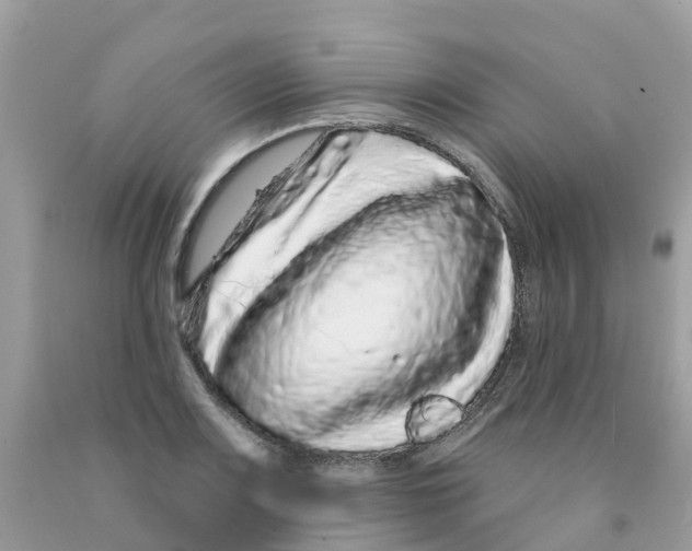 X0000091091083200709041257