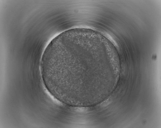 X0000091091084200709041257