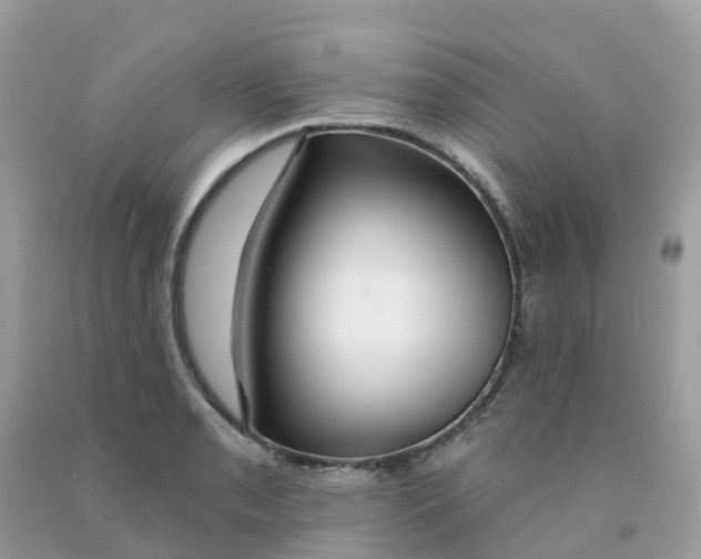 X0000091091085200709041257