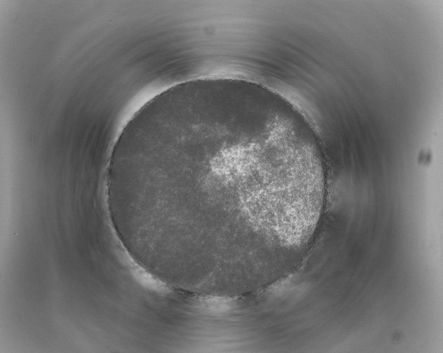 X0000091091086200709041257