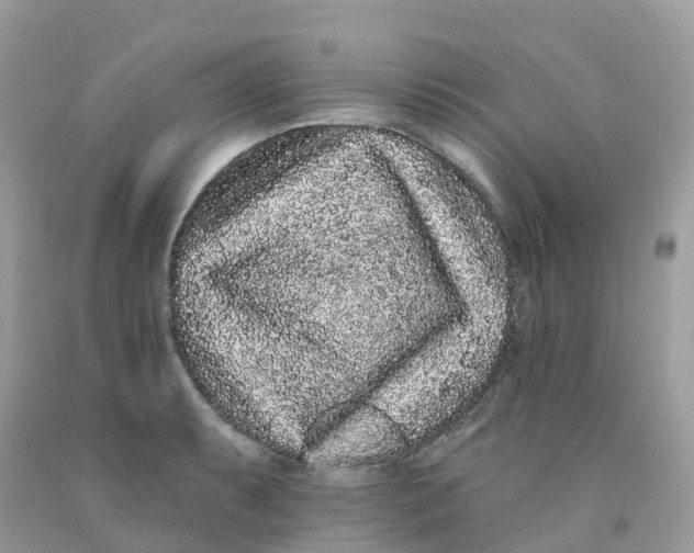 X0000091091087200709041257