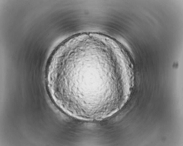 X0000091091088200709041257