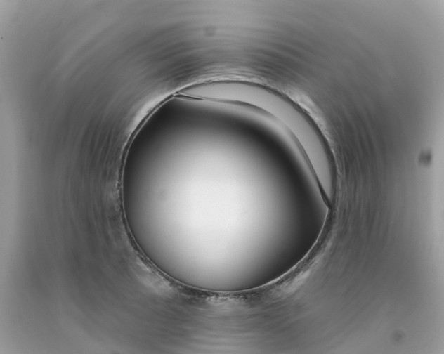 X0000091091089200709041257