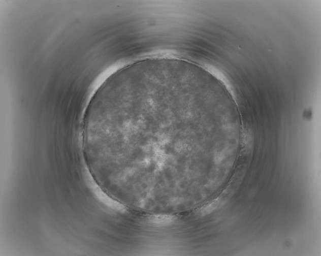 X0000091091090200709041257