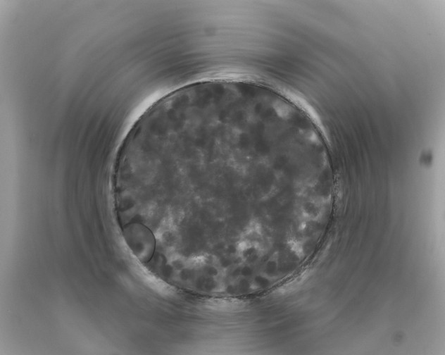 X0000091091091200709041257