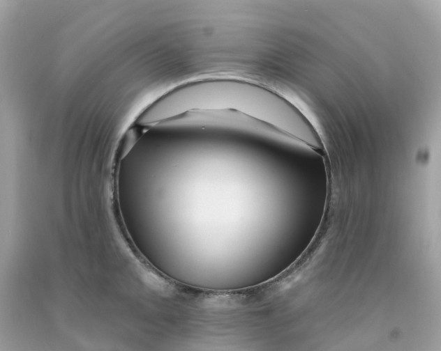 X0000091091093200709041257