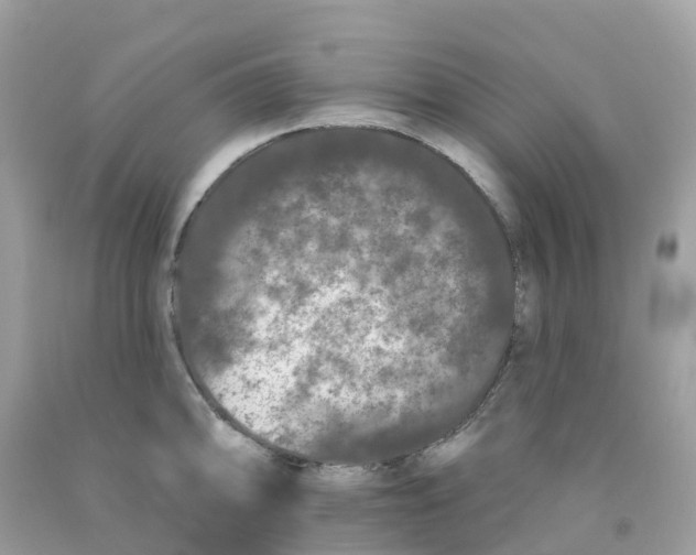 X0000091091094200709041257