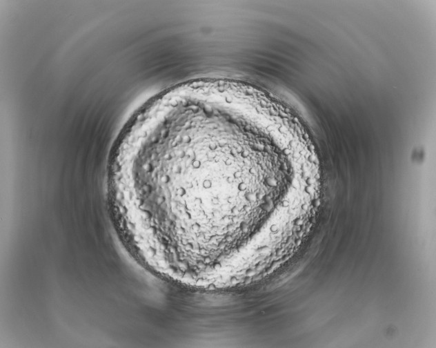 X0000091091095200709041257