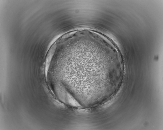 X0000091091097200709041257