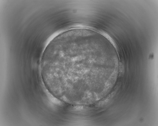 X0000091091098200709041257